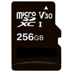 MicroSD 256Gb V30