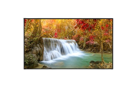 [DS-D6065UN-DP] DS-D6065UN-DP